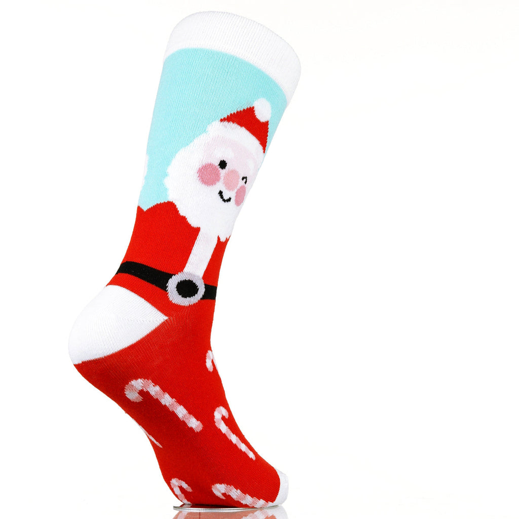 Santa's Stocking