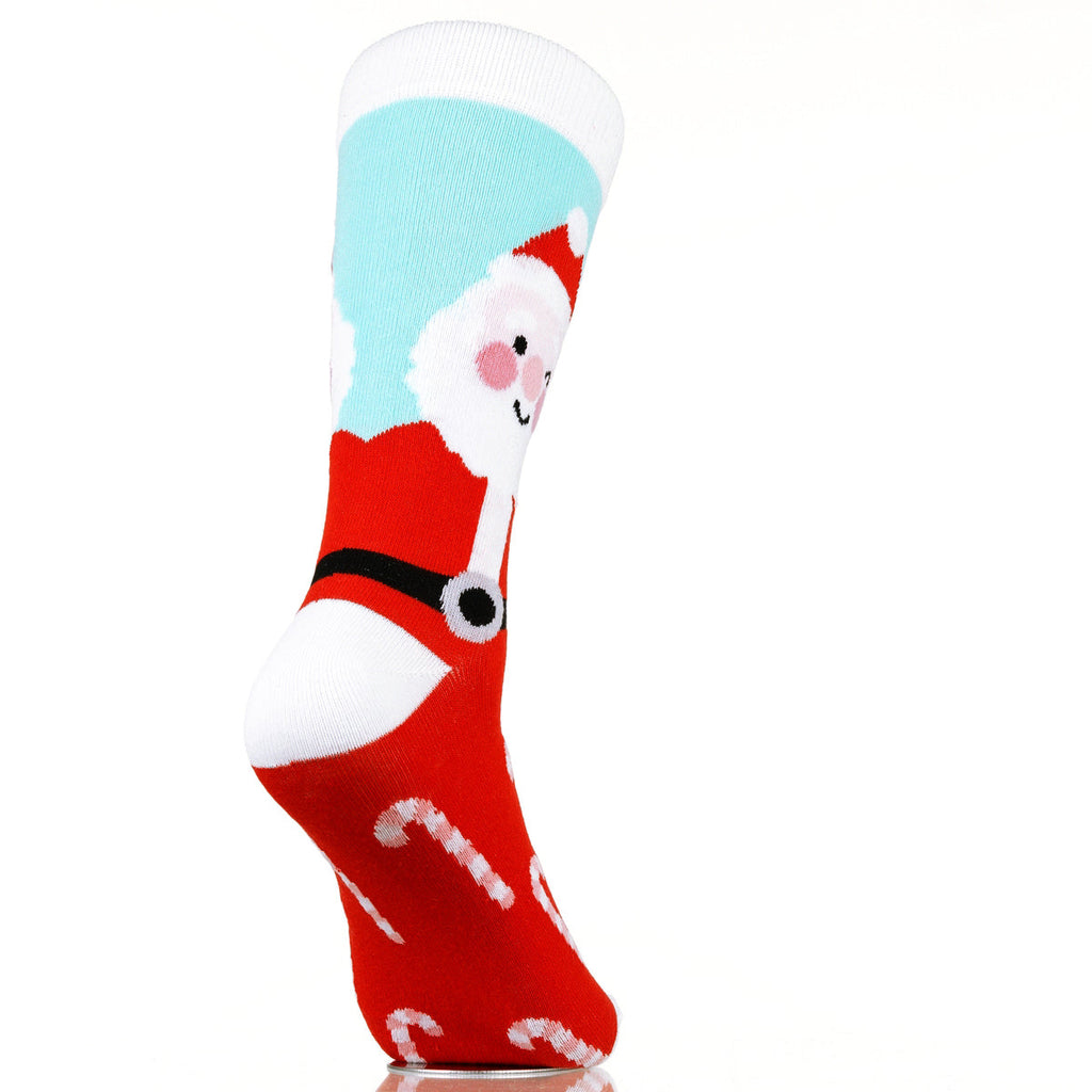 Santa's Stocking