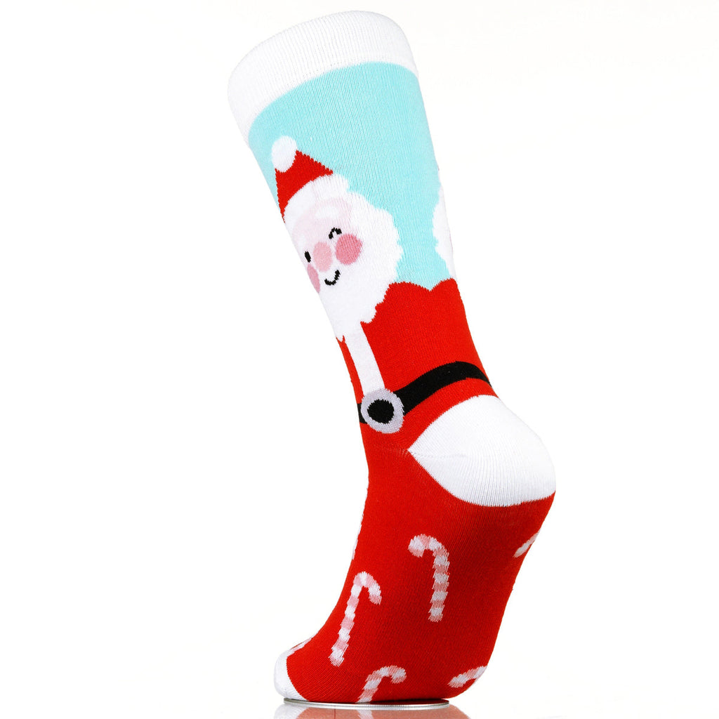 Santa's Stocking