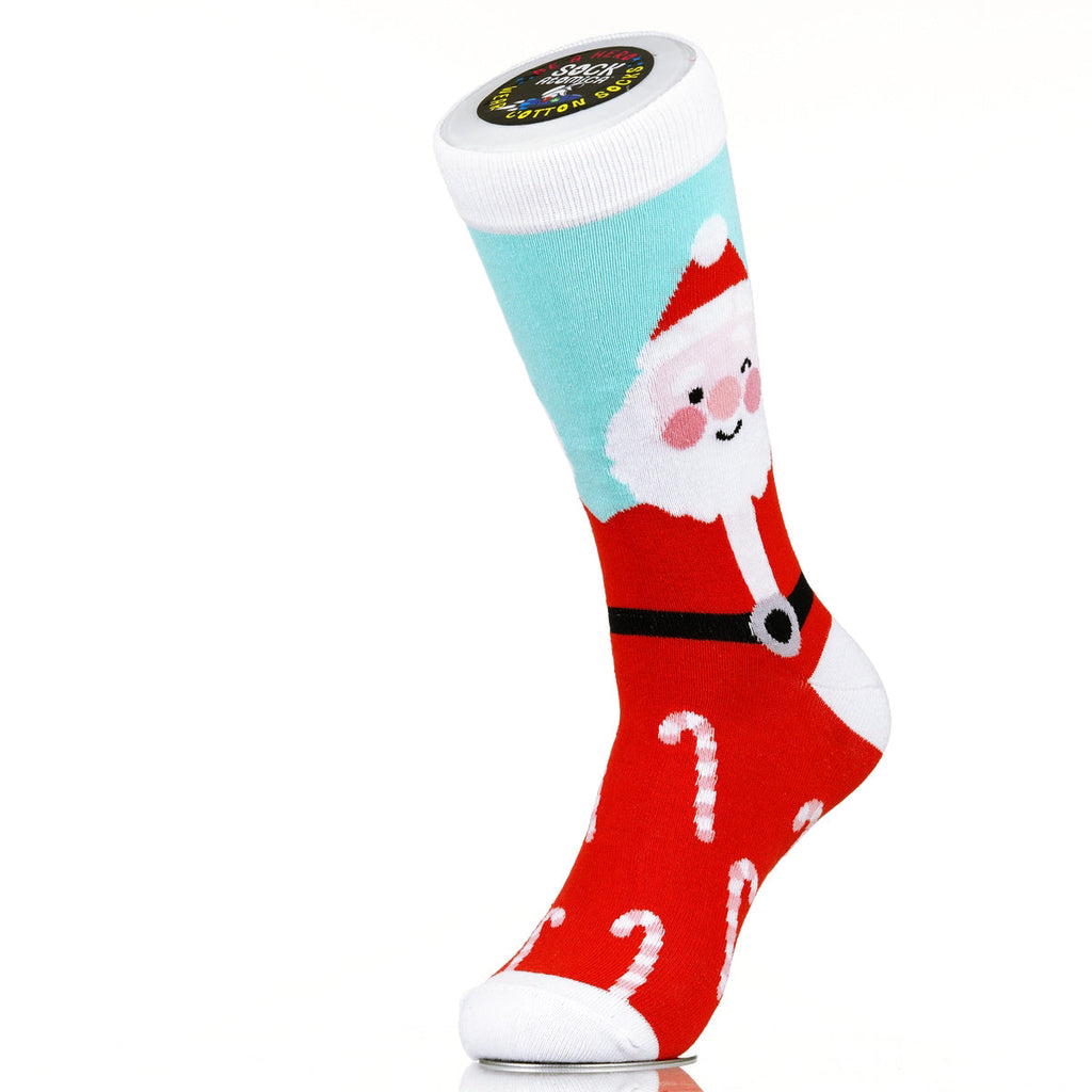 Santa's Stocking