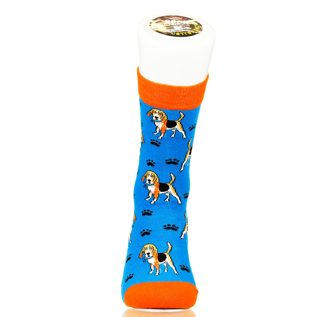 Beagle | Plenty of Pups