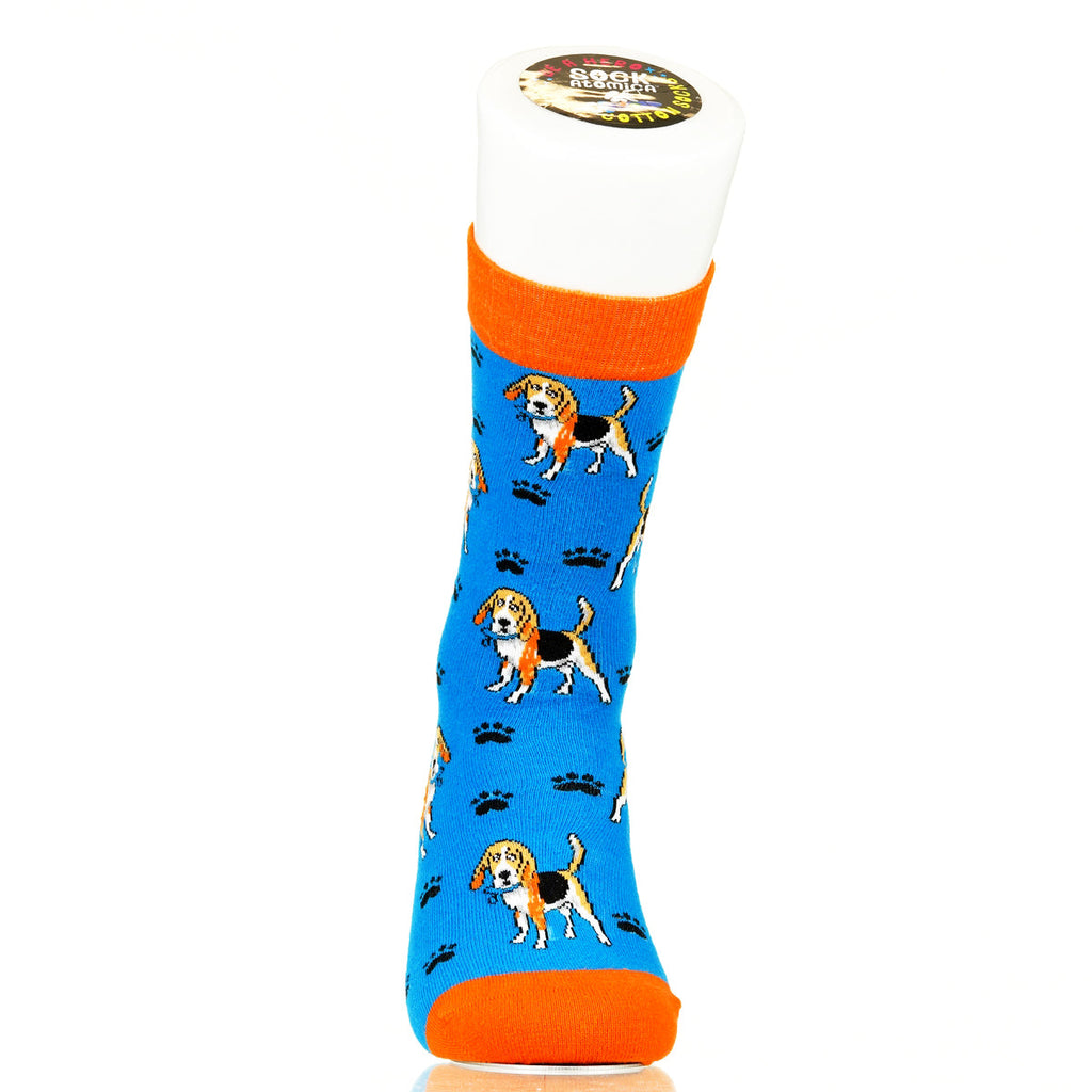 Beagle | Plenty of Pups