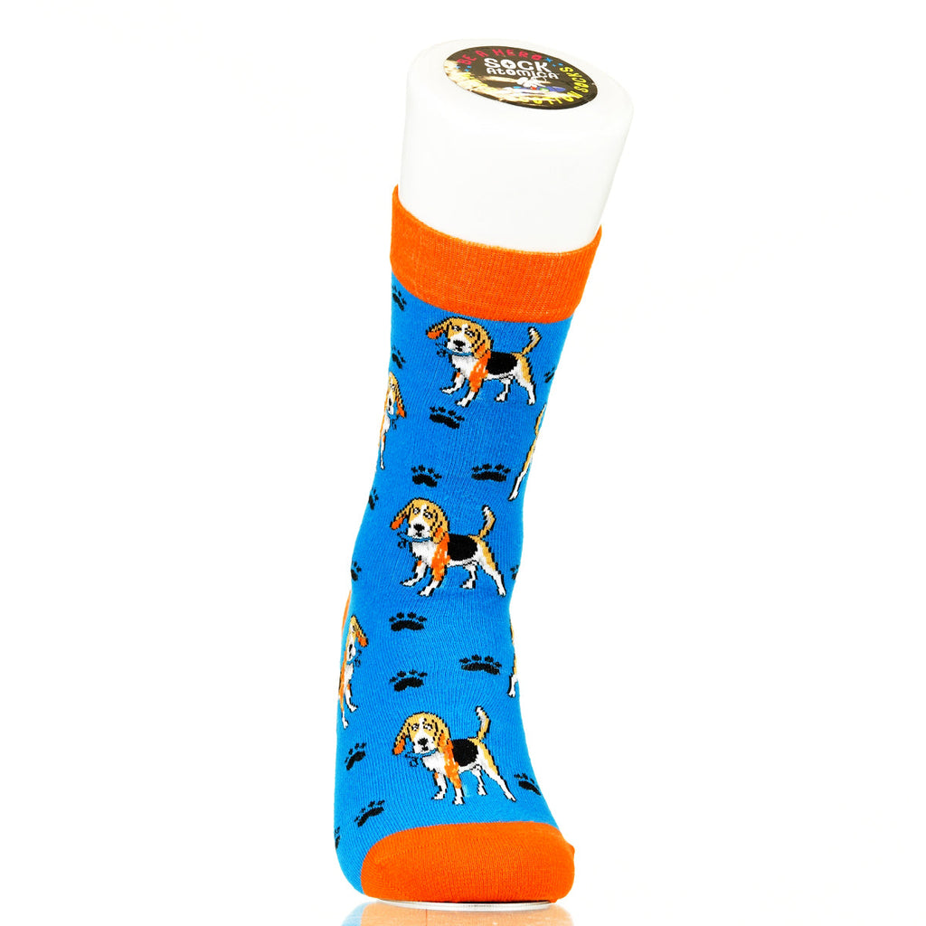 Beagle | Plenty of Pups