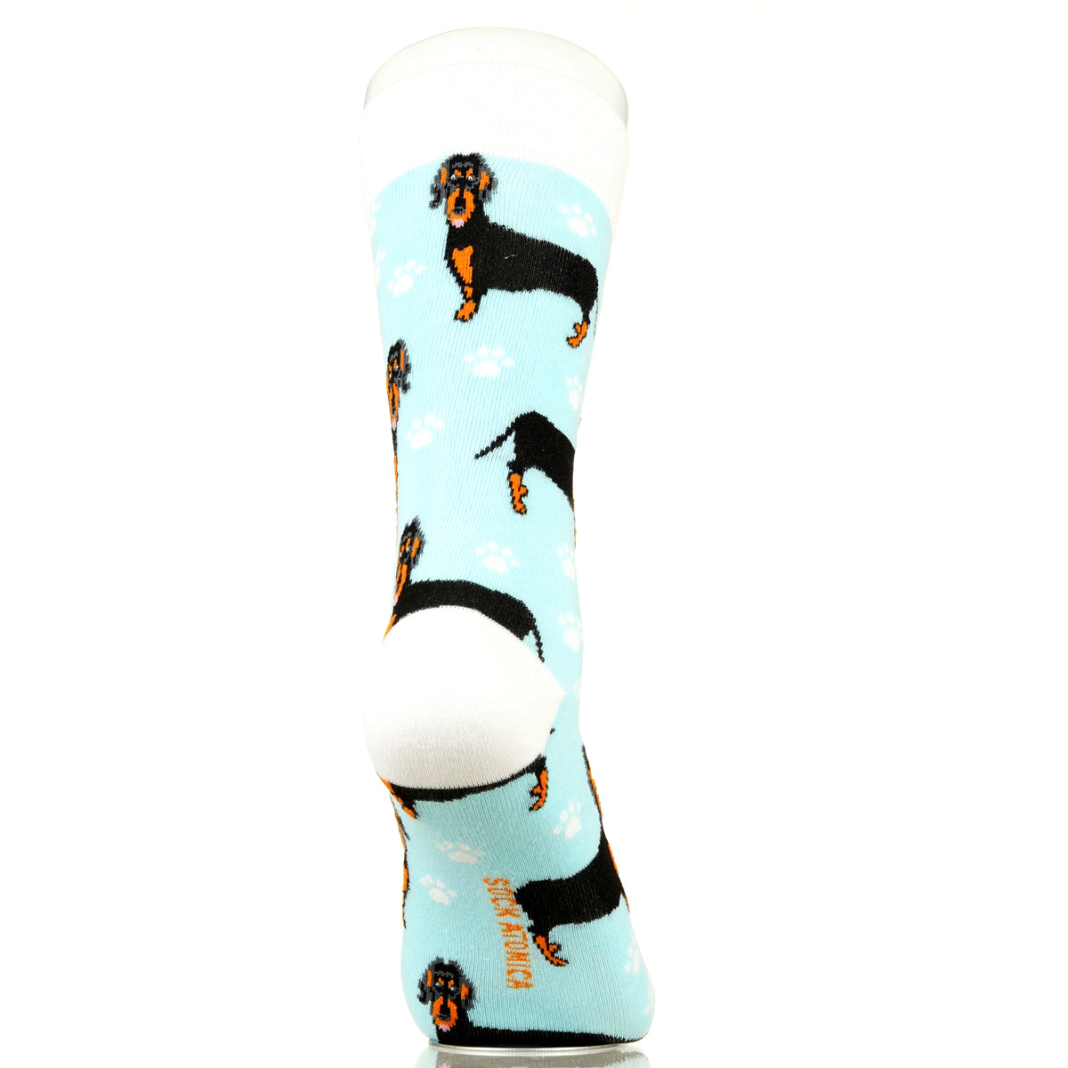 Dachshund | Plenty of Pups