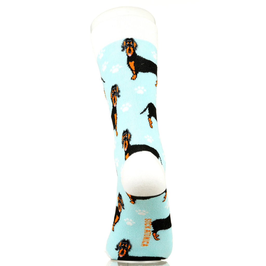 Dachshund | Plenty of Pups