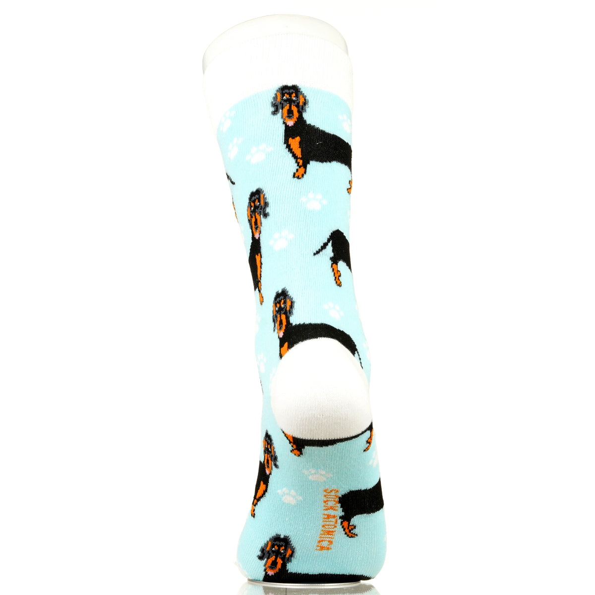 Dachshund | Plenty of Pups