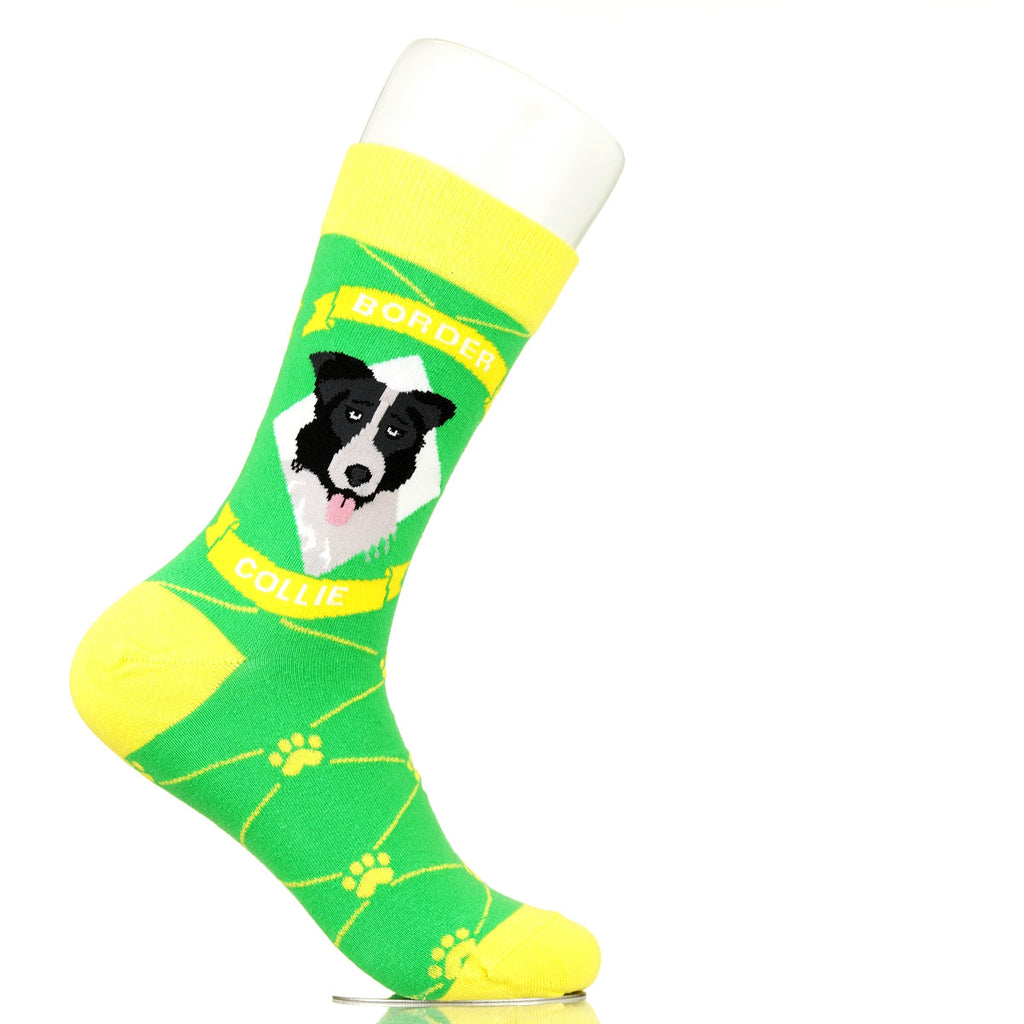 Border Collie | Argyle Pups
