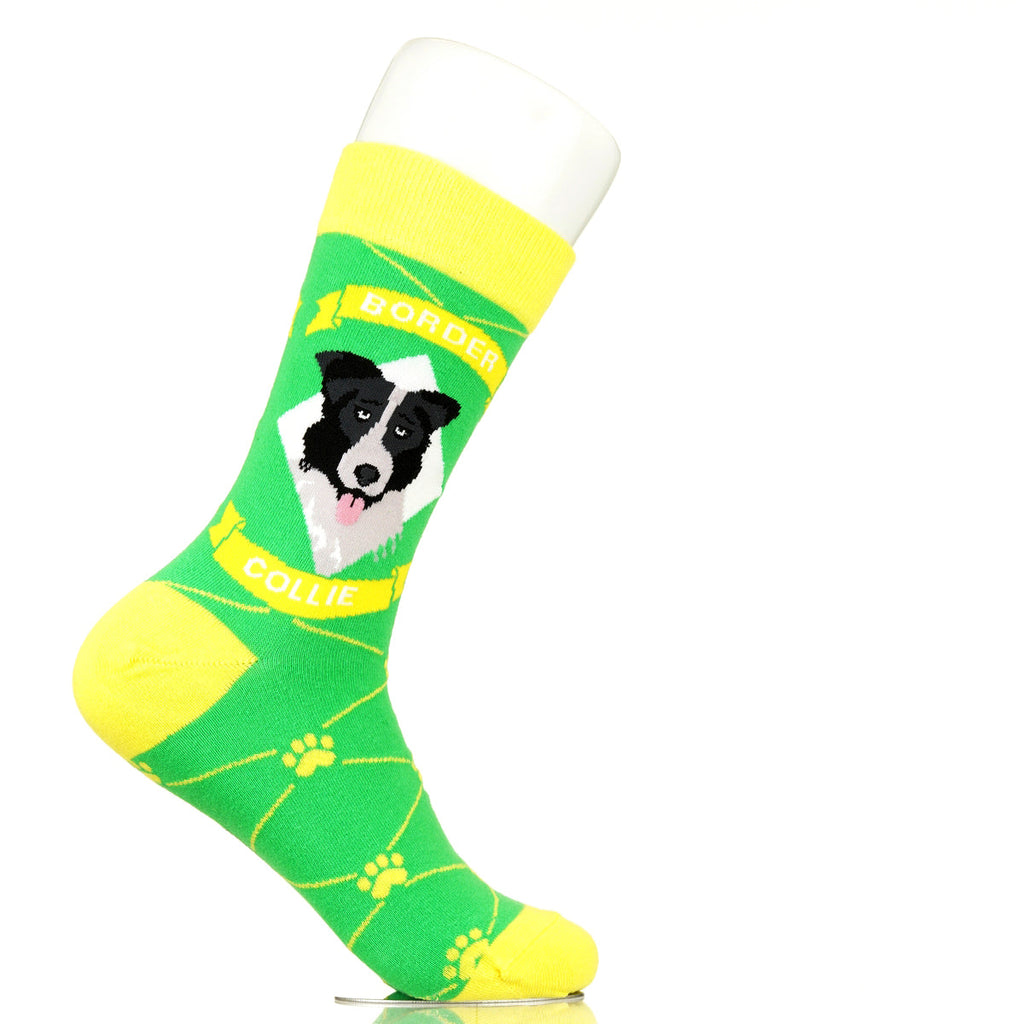 Border Collie | Argyle Pups