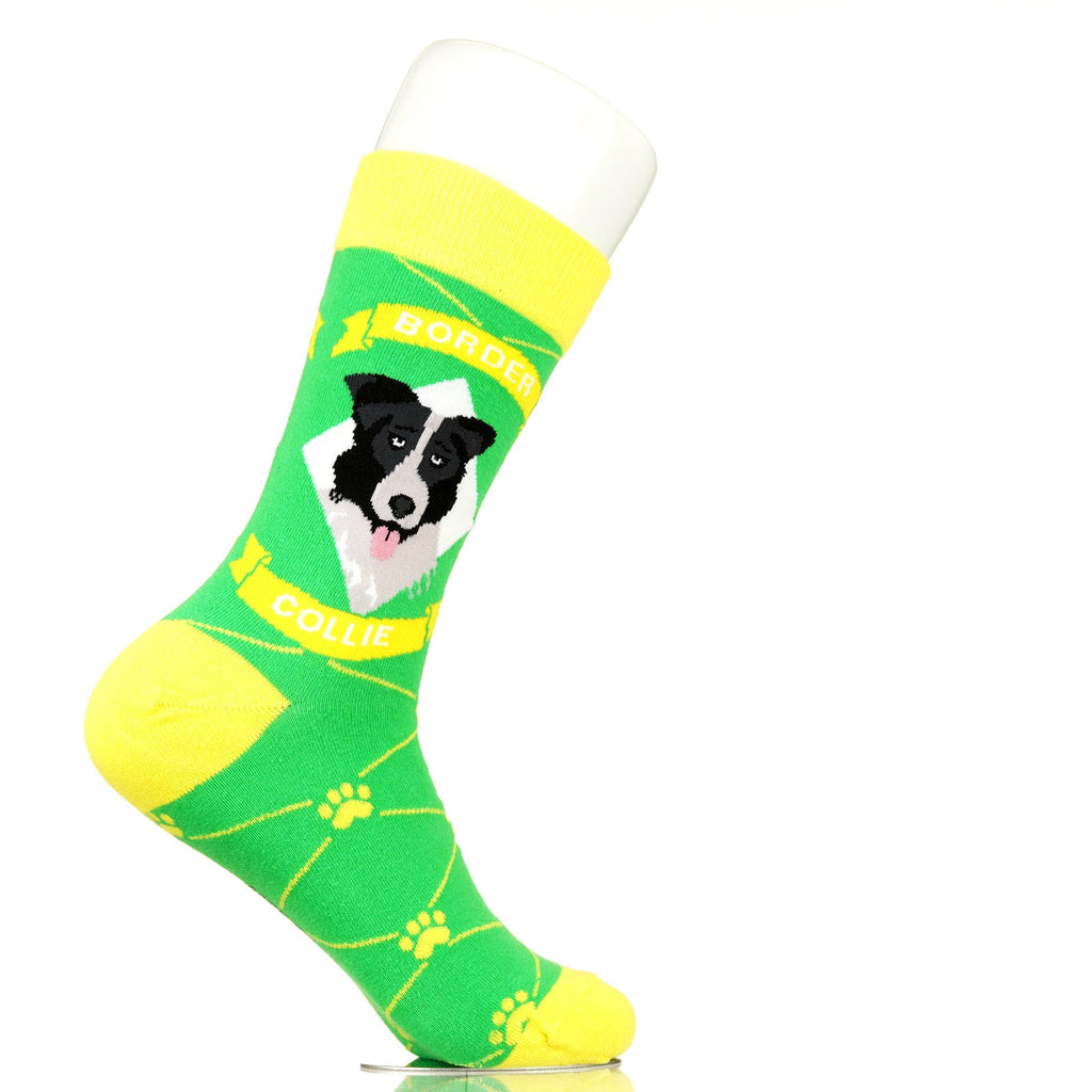 Border Collie | Argyle Pups