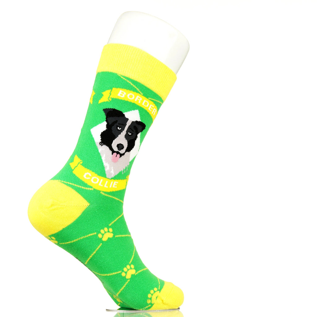 Border Collie | Argyle Pups