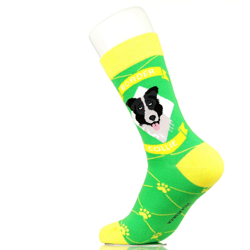 Border Collie | Argyle Pups