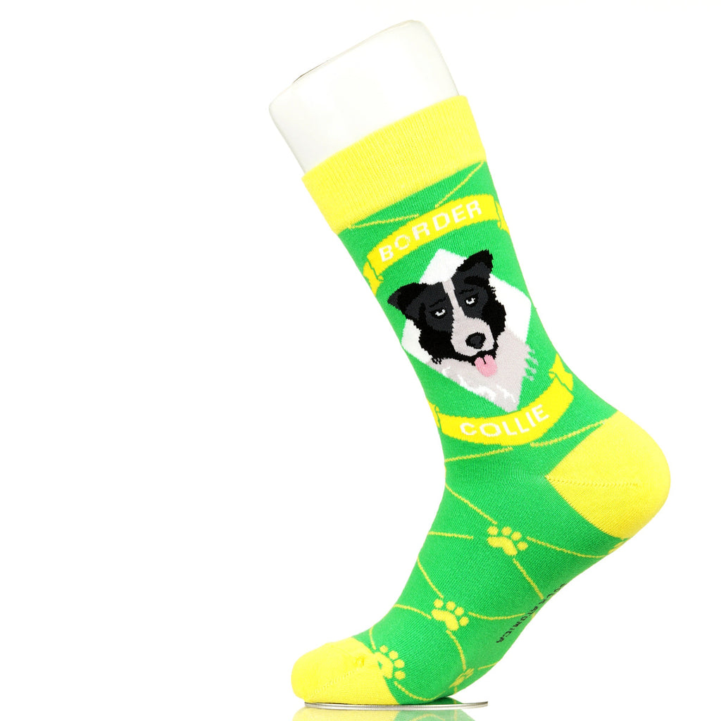 Border Collie | Argyle Pups