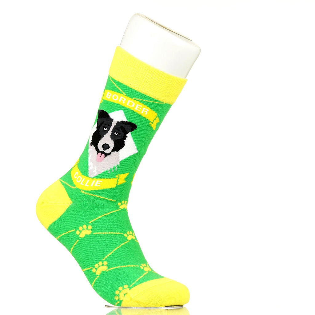Border Collie | Argyle Pups