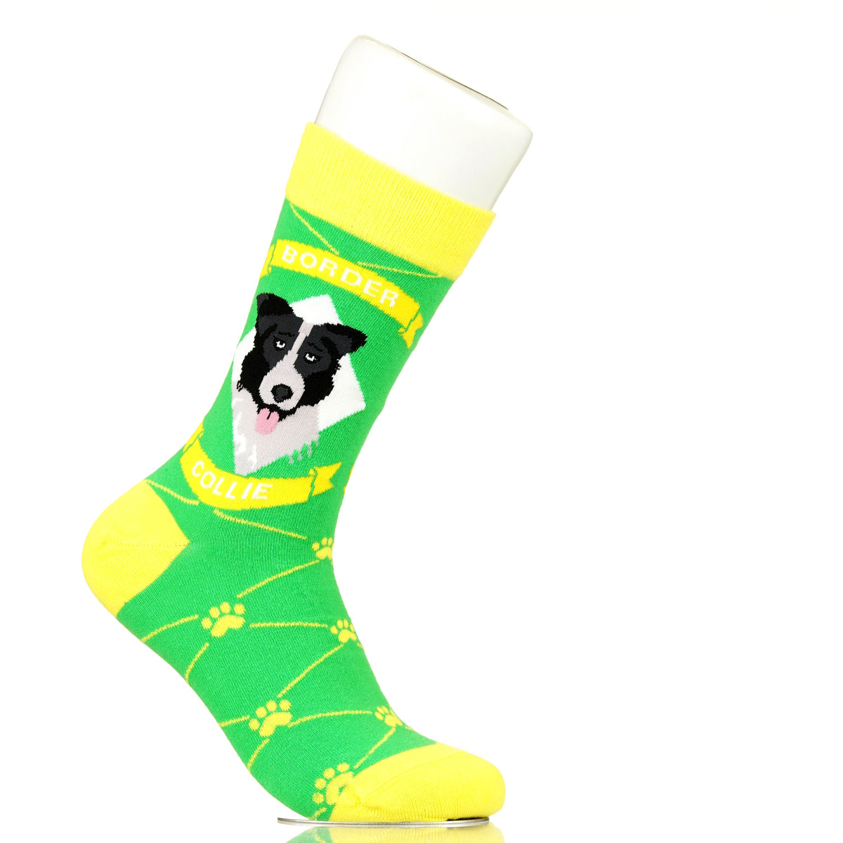 Border Collie | Argyle Pups