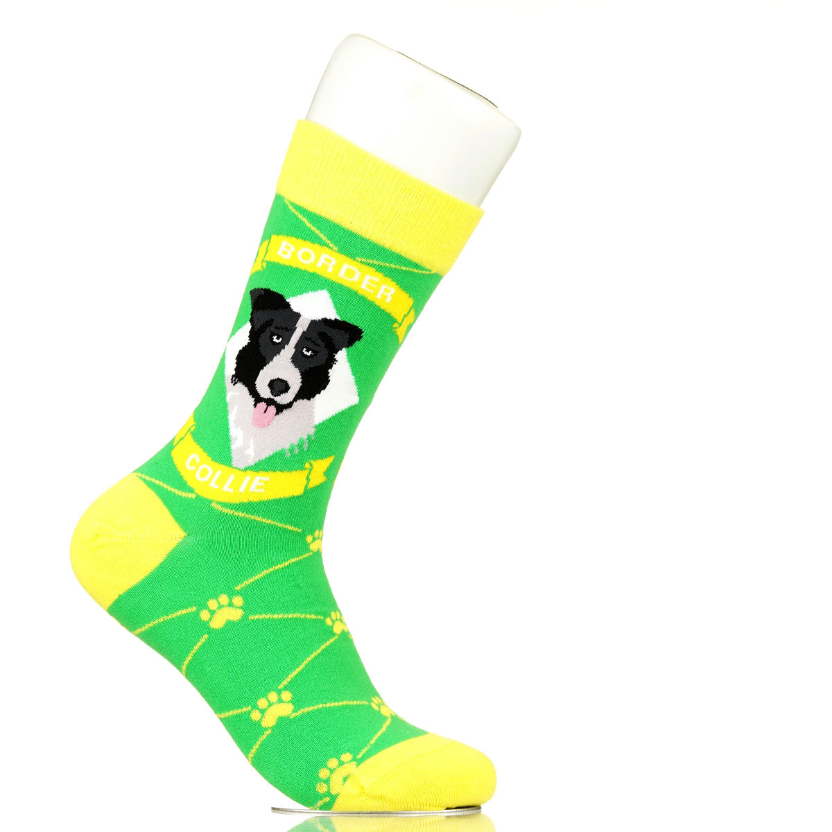 Border Collie | Argyle Pups