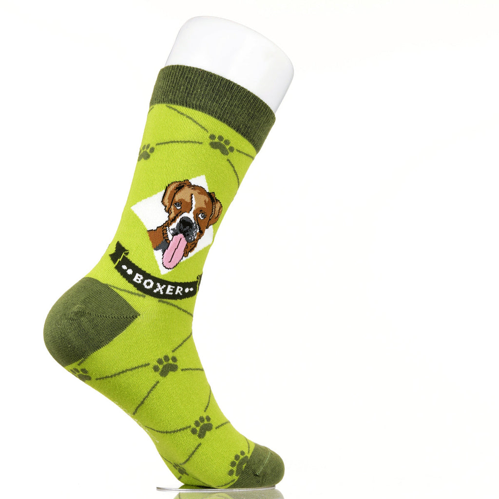 Boxer | Argyle Pups