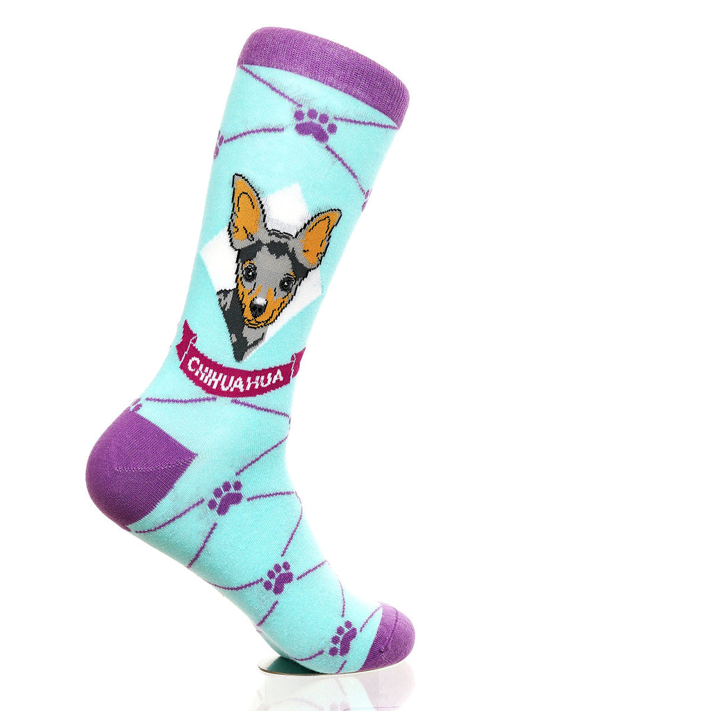 Chihuahua | Argyle Pups