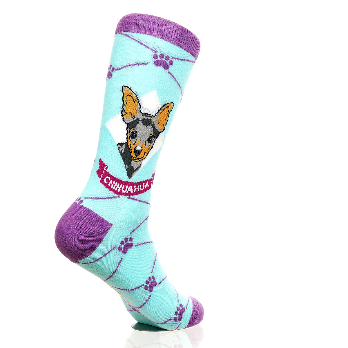 Chihuahua | Argyle Pups
