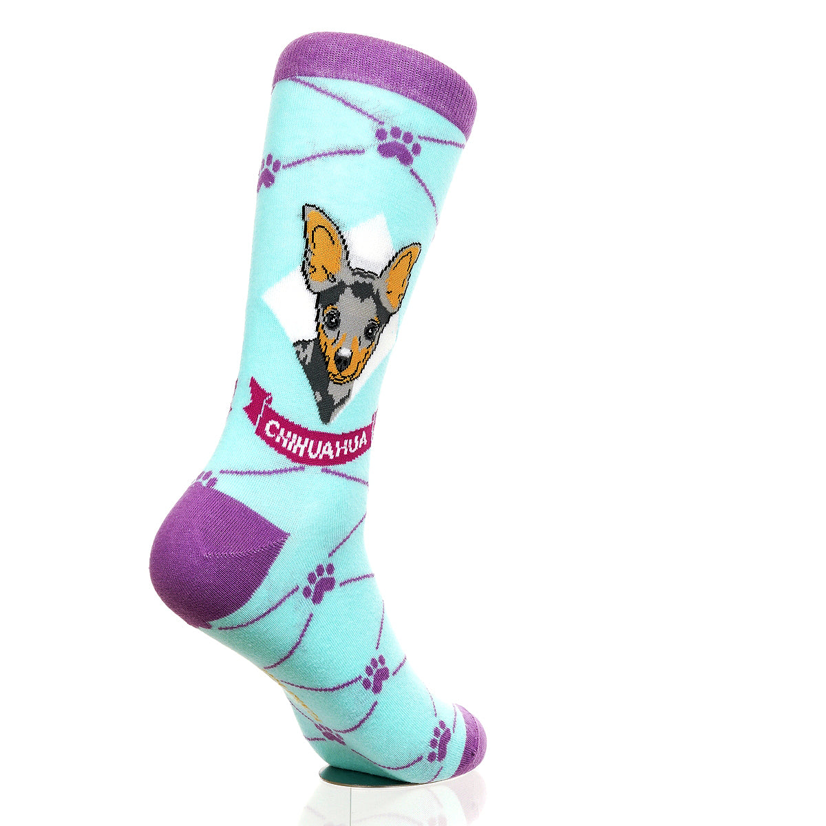 Chihuahua | Argyle Pups