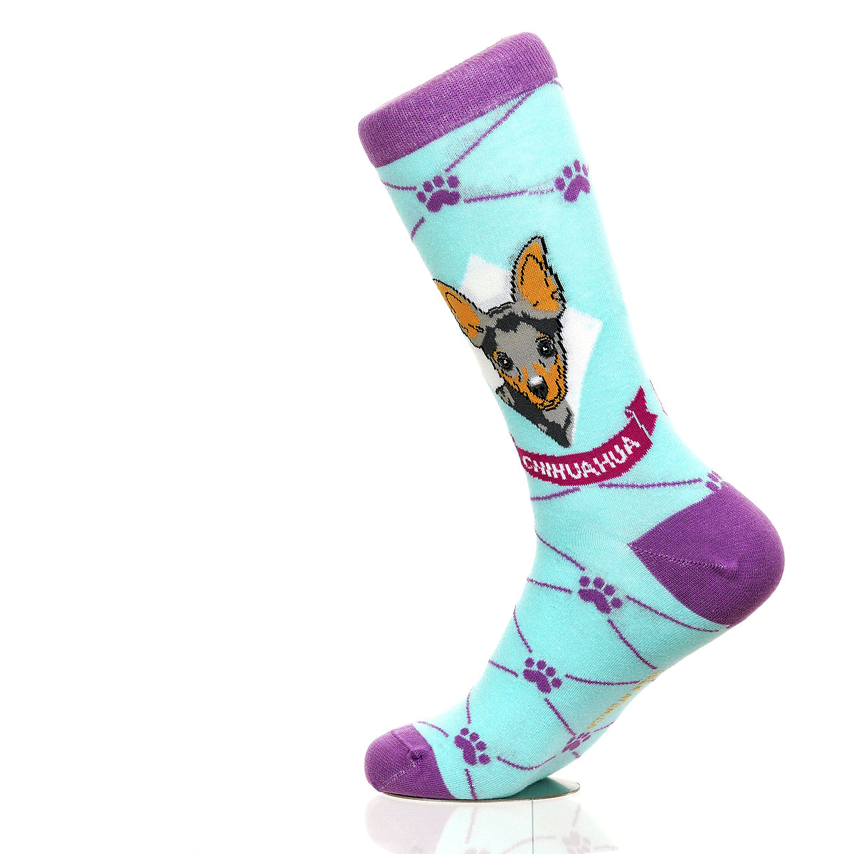 Chihuahua | Argyle Pups