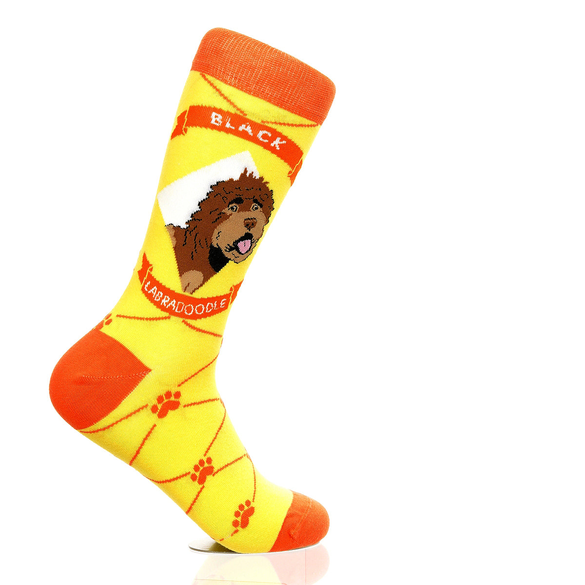 Labradoodle Black | Argyle Pups