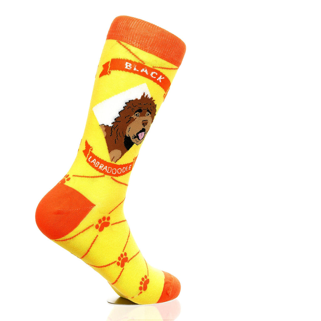 Labradoodle Black | Argyle Pups