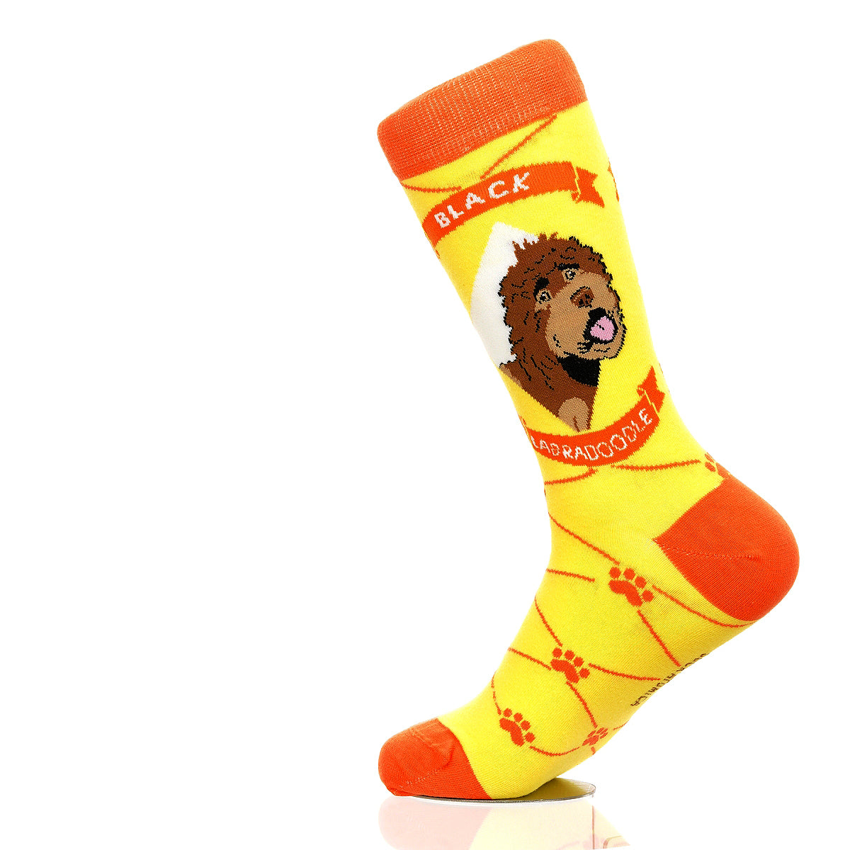 Labradoodle Black | Argyle Pups
