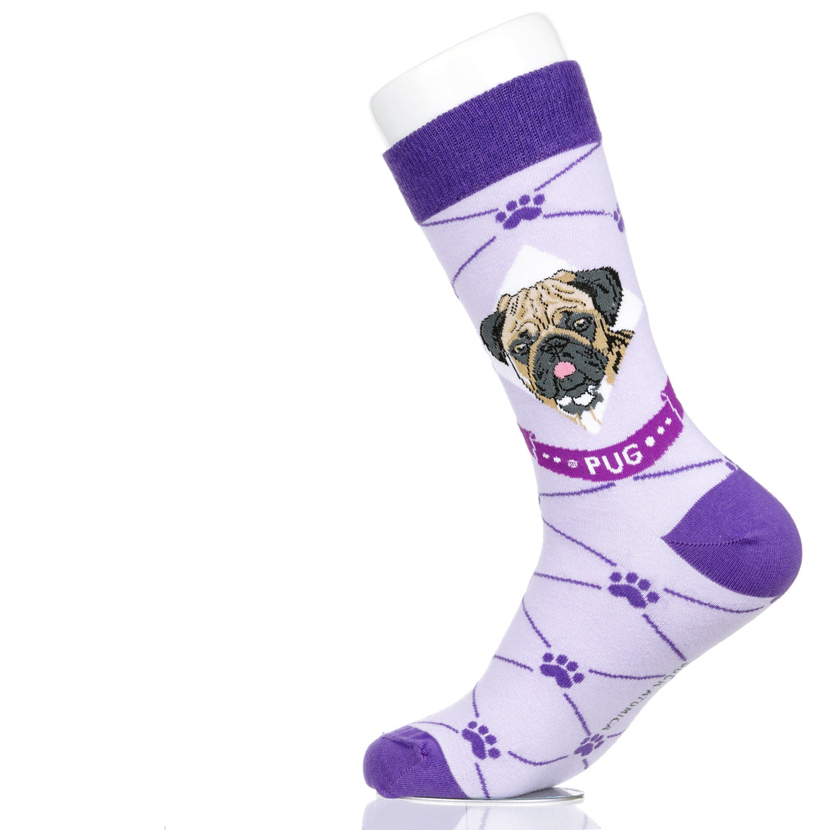 Pug | Argyle Pups