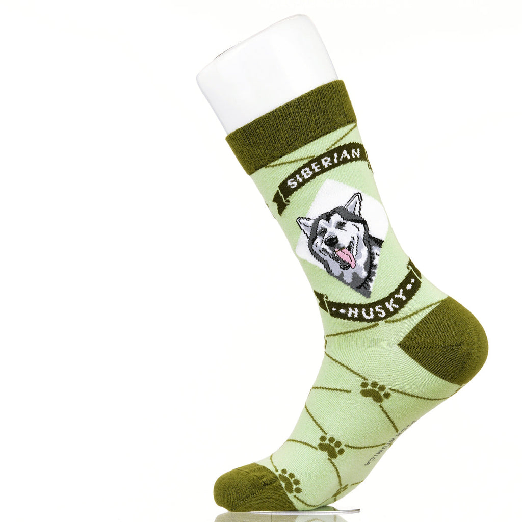 Siberian Husky | Argyle Pups