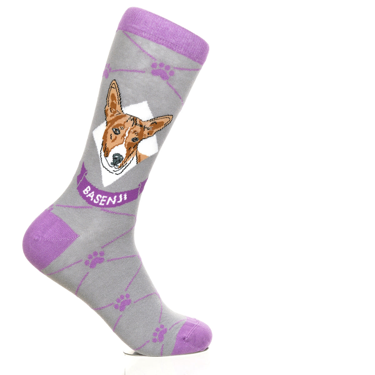 Basenji | Argyle Pups