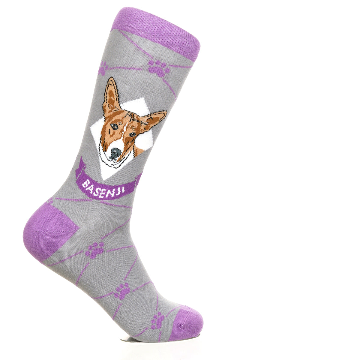 Basenji | Argyle Pups