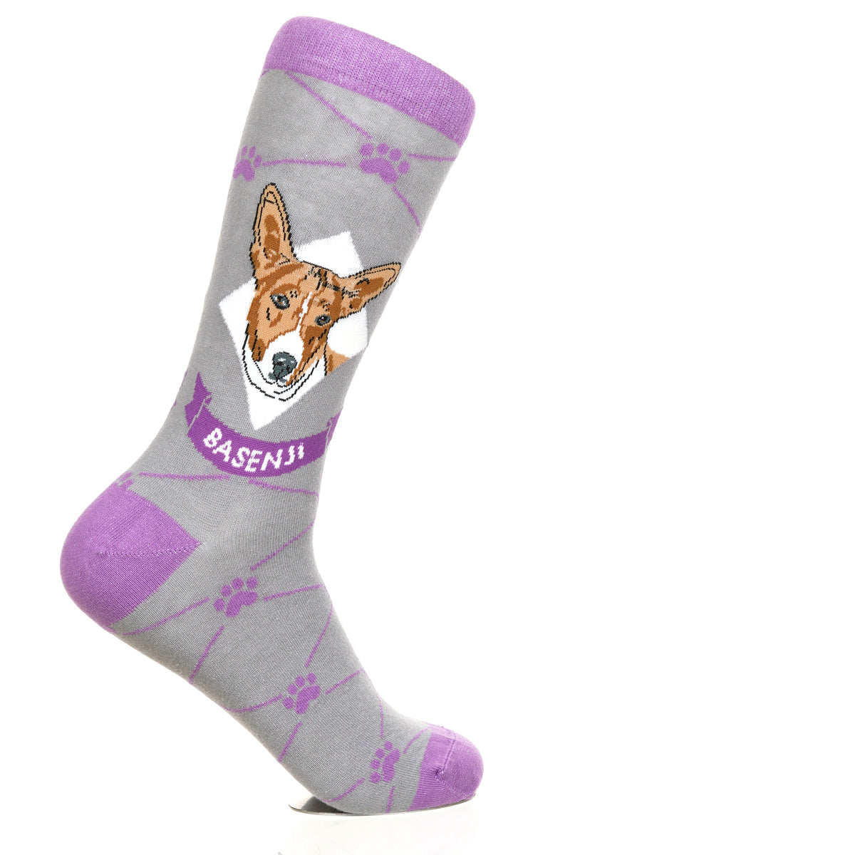 Basenji | Argyle Pups