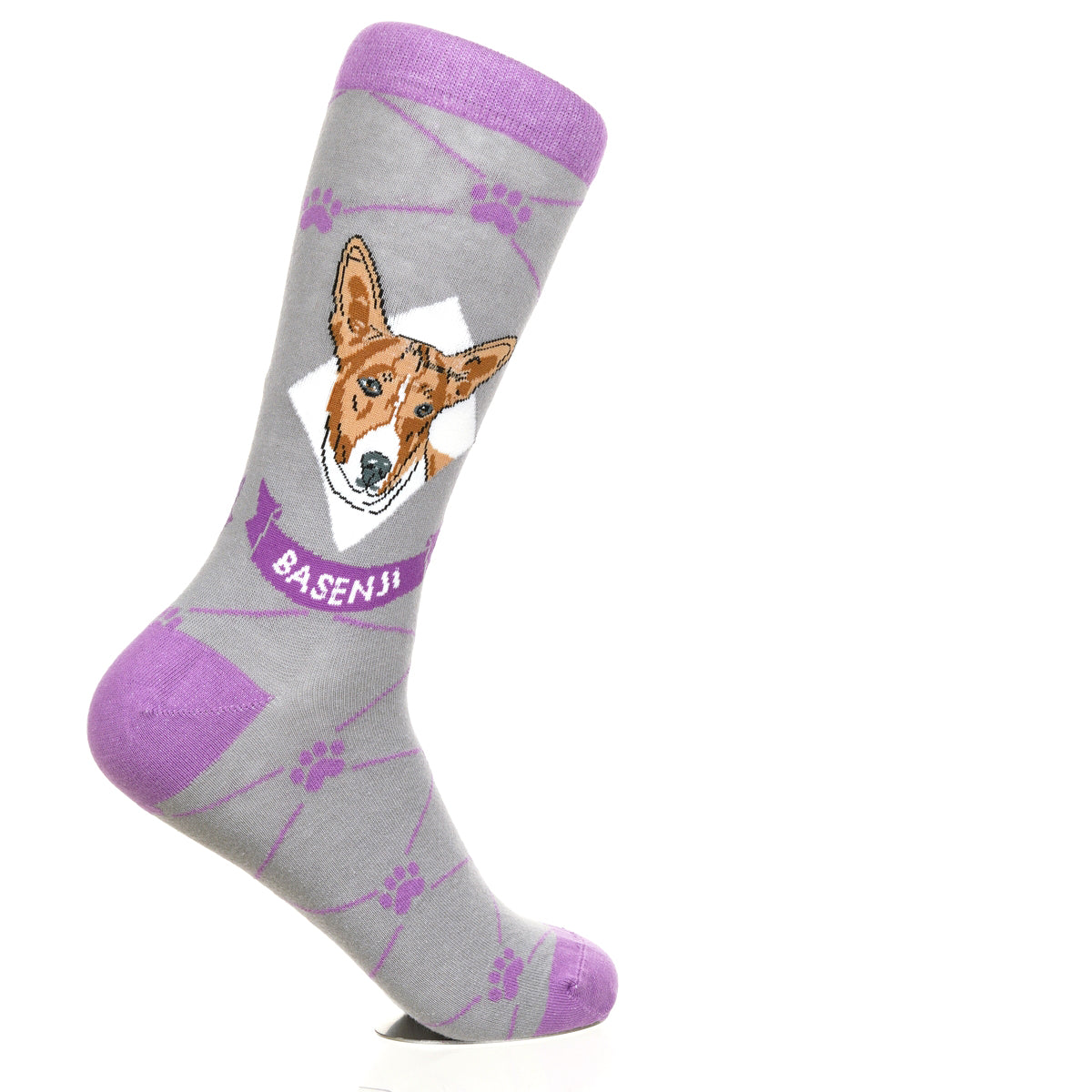 Basenji | Argyle Pups