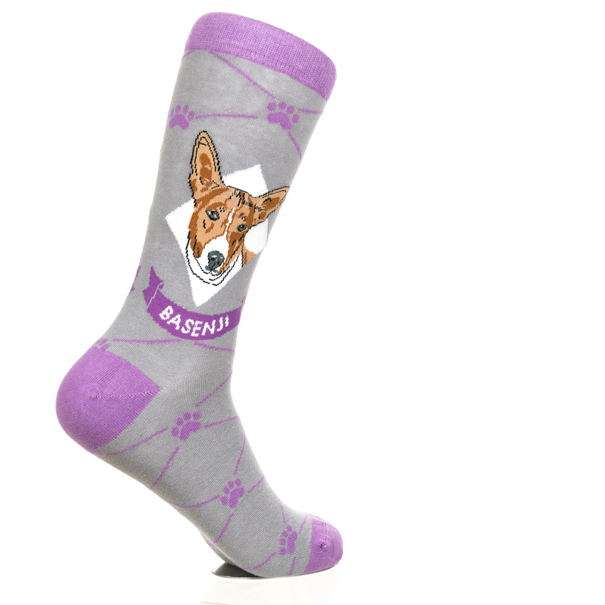 Basenji | Argyle Pups
