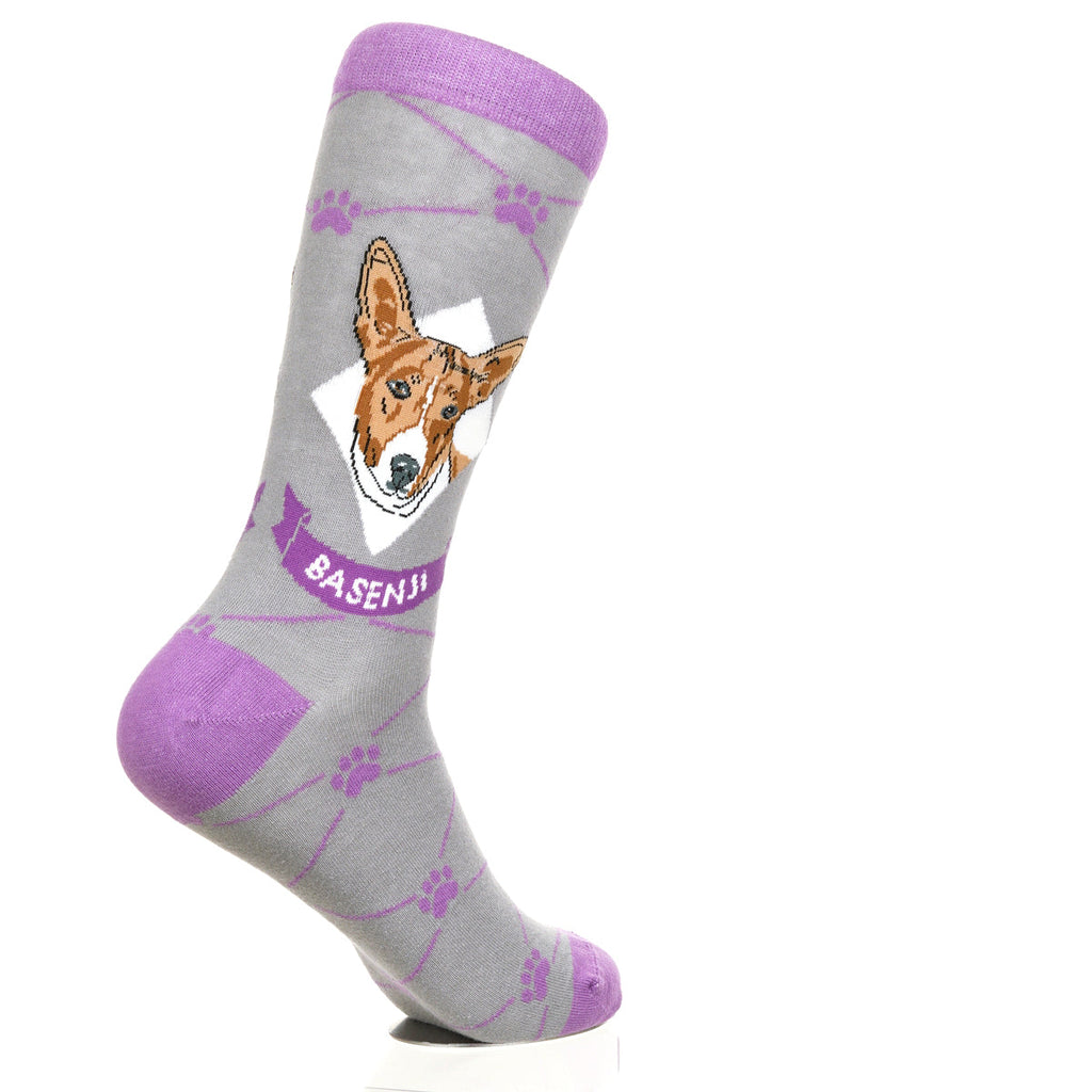 Basenji | Argyle Pups