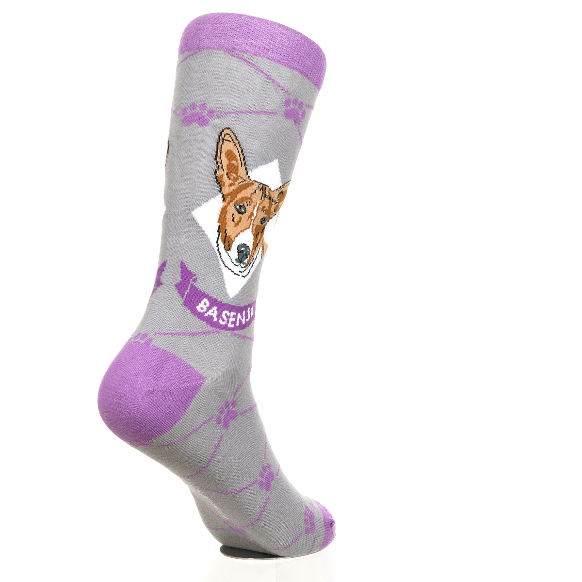Basenji | Argyle Pups