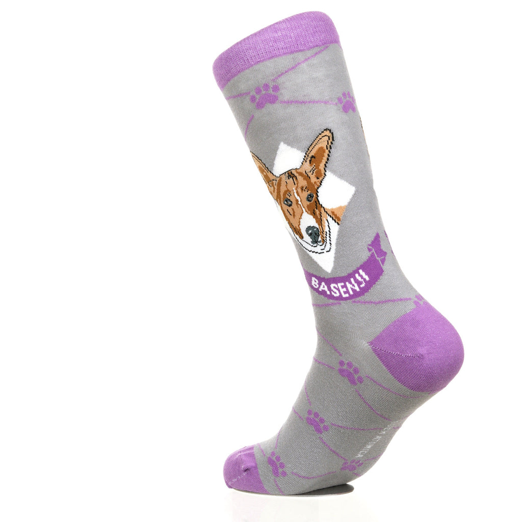 Basenji | Argyle Pups