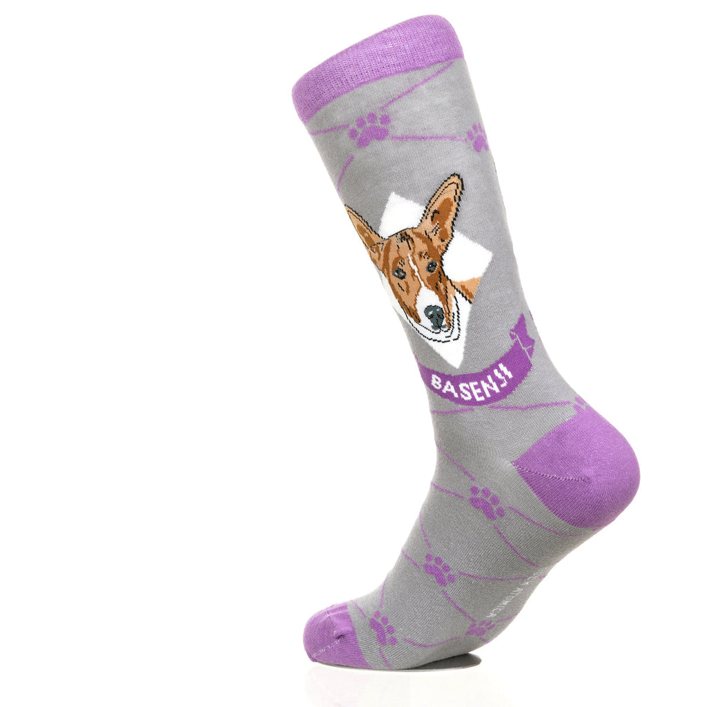 Basenji | Argyle Pups