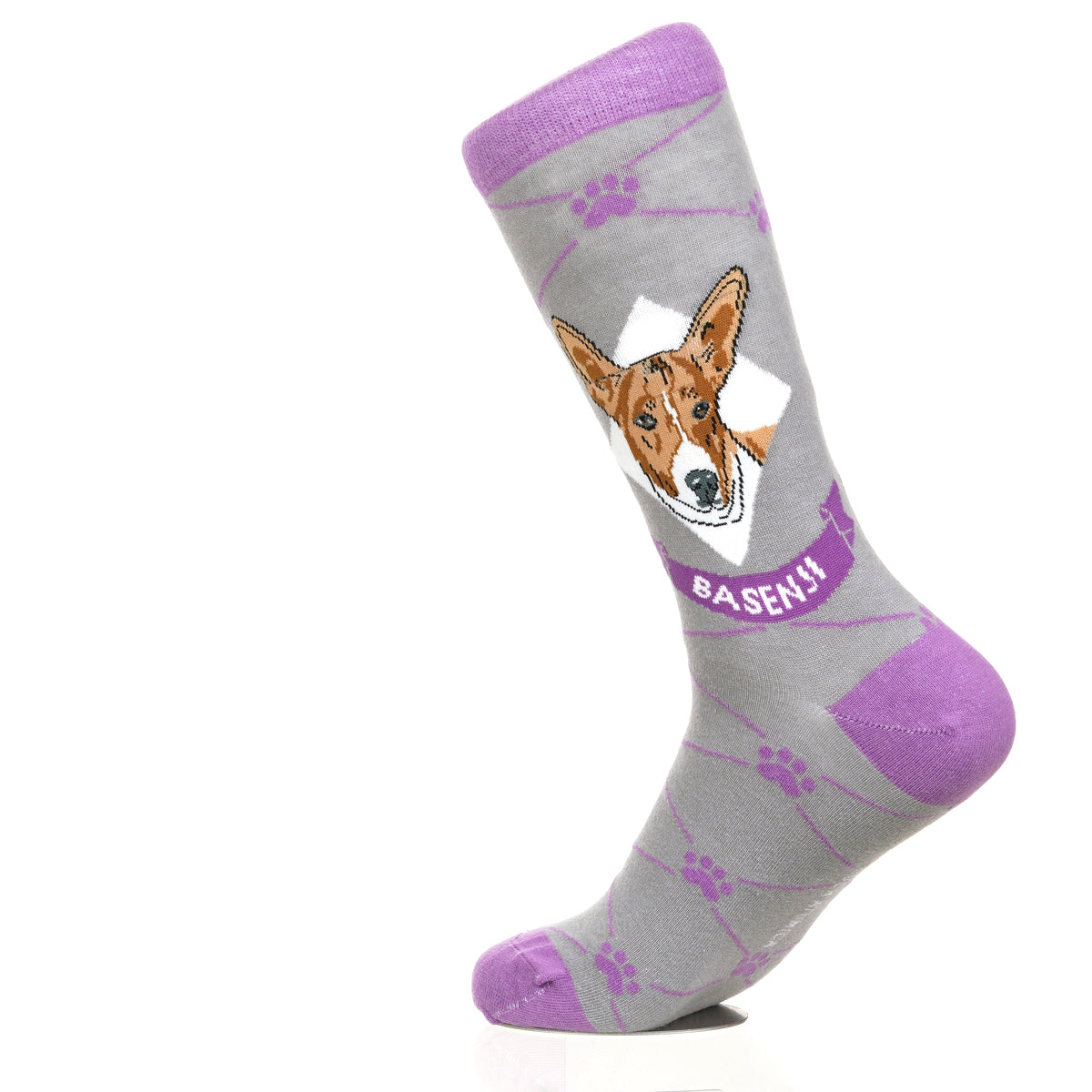 Basenji | Argyle Pups