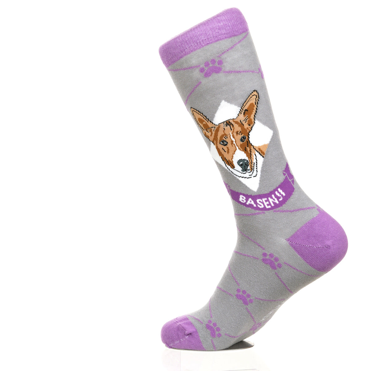 Basenji | Argyle Pups