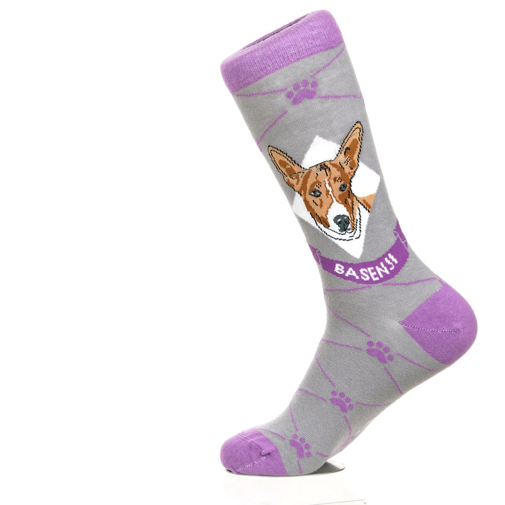 Basenji | Argyle Pups