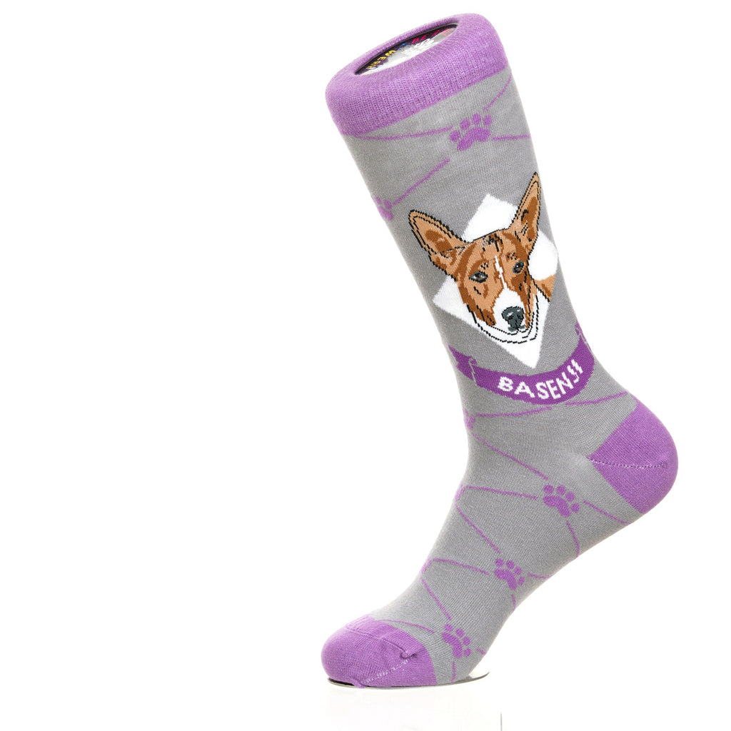 Basenji | Argyle Pups