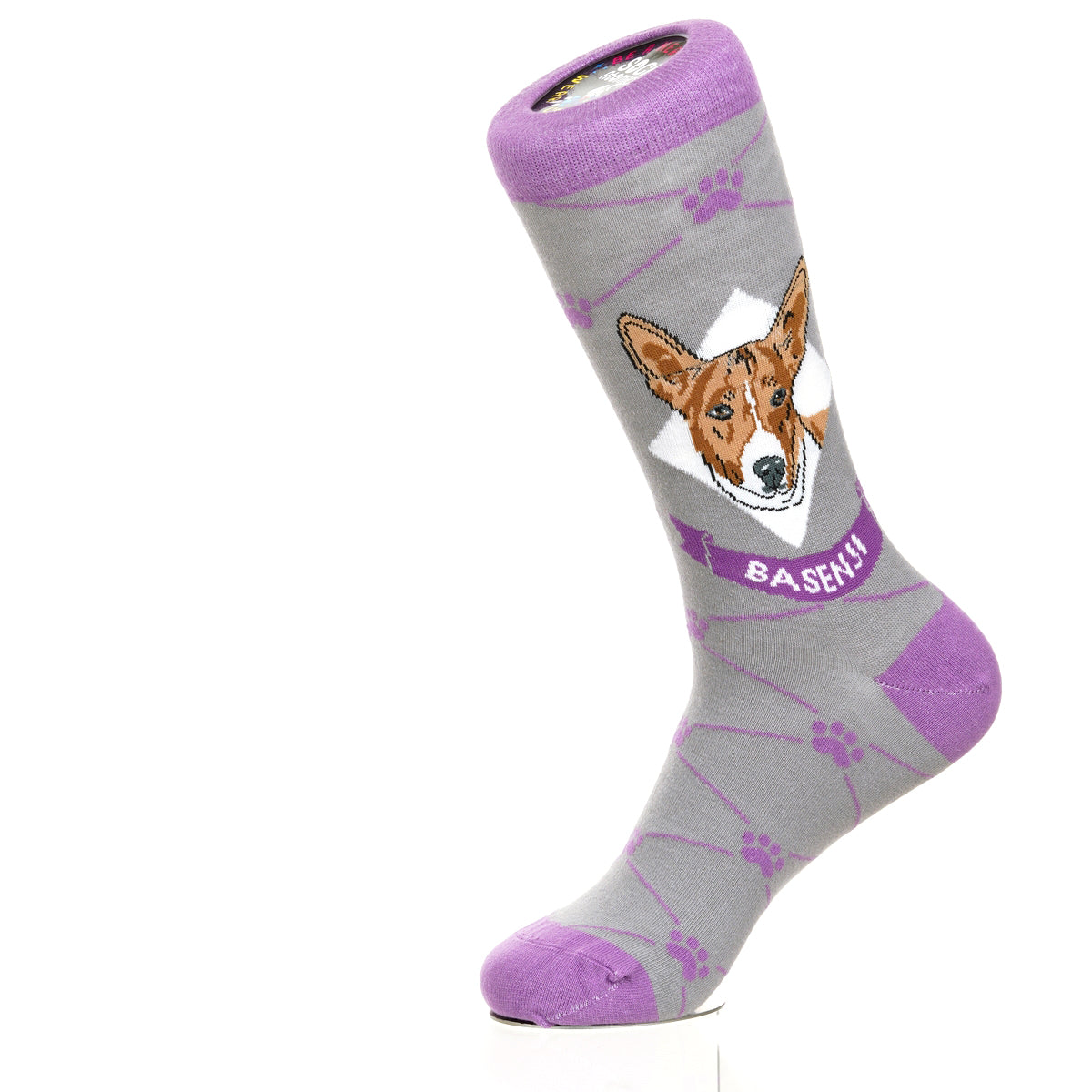 Basenji | Argyle Pups