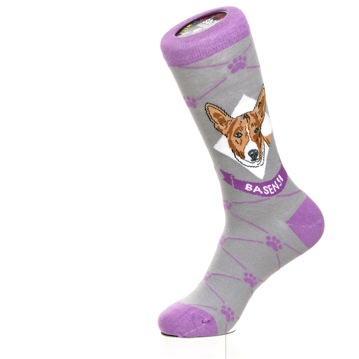 Basenji | Argyle Pups
