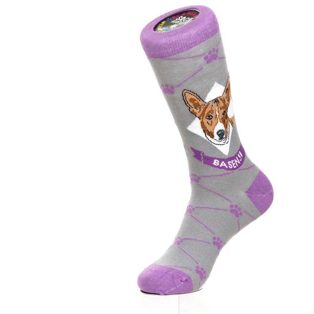 Basenji | Argyle Pups