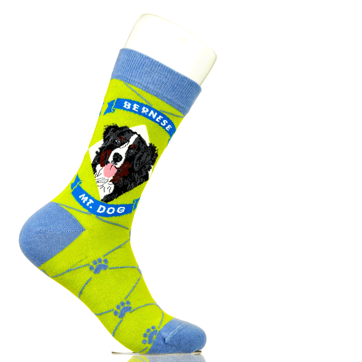 Bernese Mountain Dog | Argyle Pups