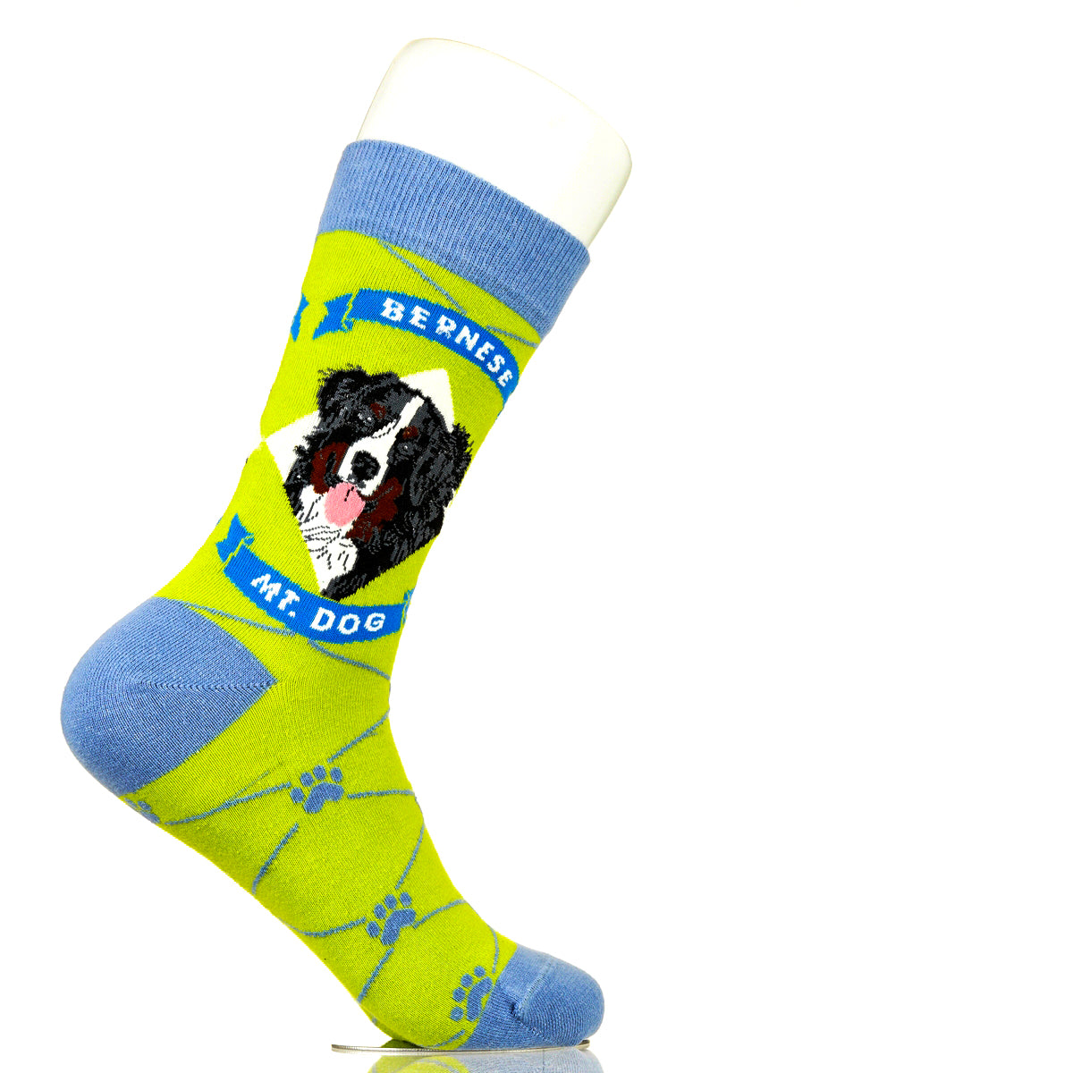 Bernese Mountain Dog | Argyle Pups