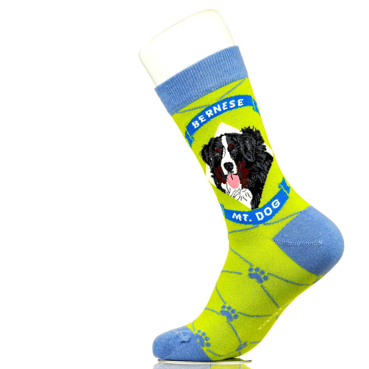 Bernese Mountain Dog | Argyle Pups