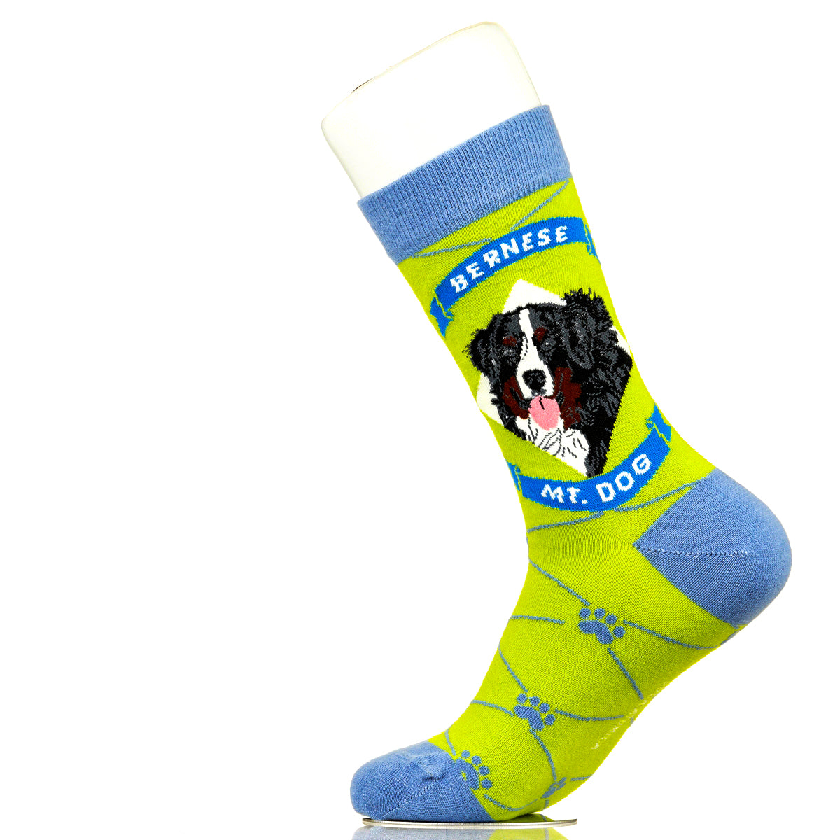 Bernese Mountain Dog | Argyle Pups