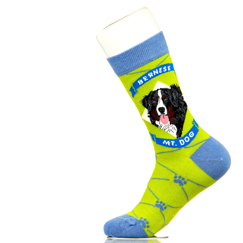 Bernese Mountain Dog | Argyle Pups